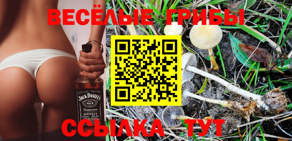 Великие Луки  Галлюциногенные грибы Cubensis  Вход с VPN  продажа наркотиков  Псилоцибиновые грибы MAGIC MUSHROOMS 